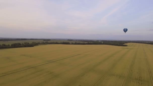 Heißluftballon am Himmel über einem Weizenfeld. Luftaufnahme — Stockvideo