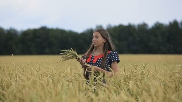 Красива молода дівчина-підліток з вухами пшениці в пшеничному полі . — стокове відео
