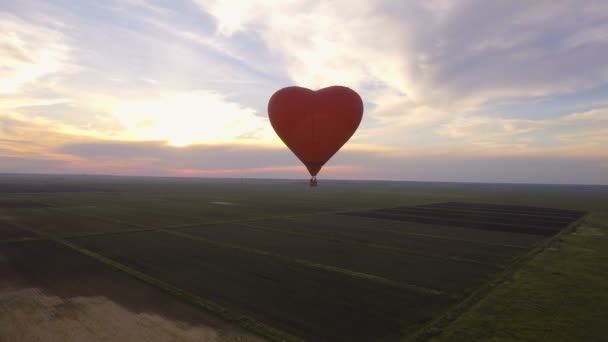 Sıcak hava balonu gökyüzüne bir alanın üzerinde. Havadan görünümü — Stok video
