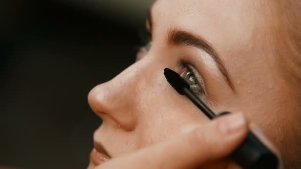 Maquillar artista haciendo profesional maquillaje de mujer joven — Vídeos de Stock