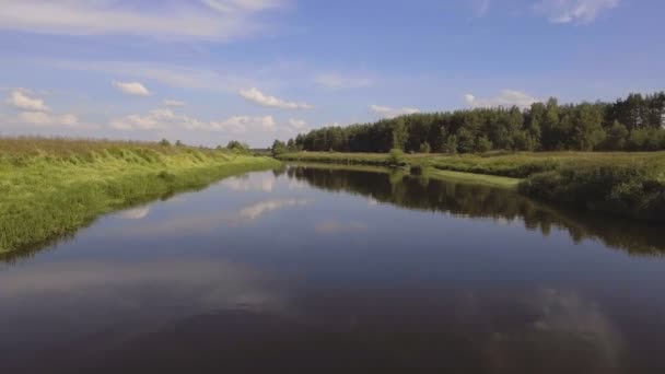 Flygande över floden — Stockvideo