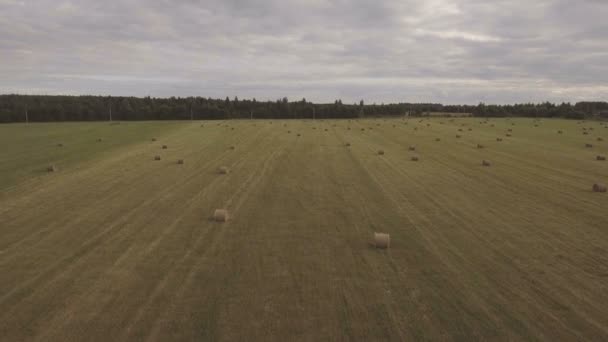 フィールドで干し草の山のロール。空撮. — ストック動画