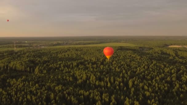 フィールド上空の熱気球。航空写真ビュー — ストック動画