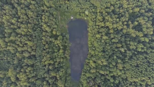 Flygfoto. Flygande över skogen. — Stockvideo