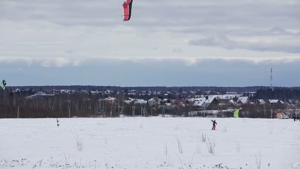 Snowkiting inverno no campo . — Vídeo de Stock