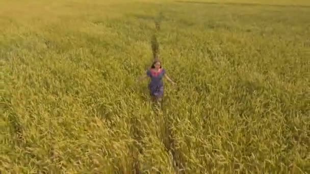 Giovane ragazza nel campo di frumento. . — Video Stock