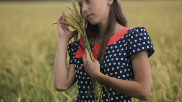 Beautiful young teen girl with ears of wheat in a wheat field. — Stock Video