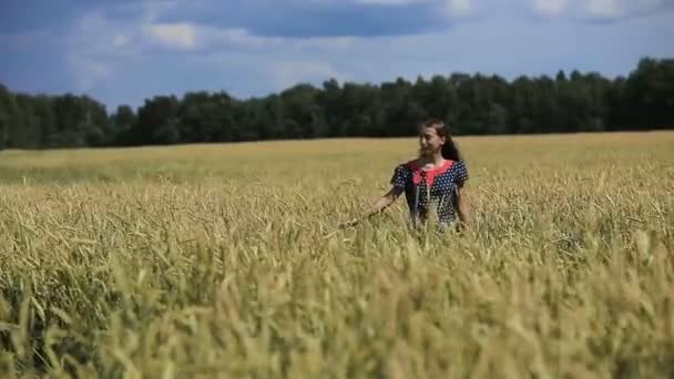 Рука девушки в пшеничном поле . — стоковое видео