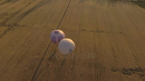 Hőlégballonok az égen át egy mezőt. Légifelvételek — Stock videók