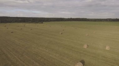 Haystacks sahada rulo. Hava video.