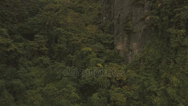 Tropický deštný prales v horách, letecký pohled. — Stock video