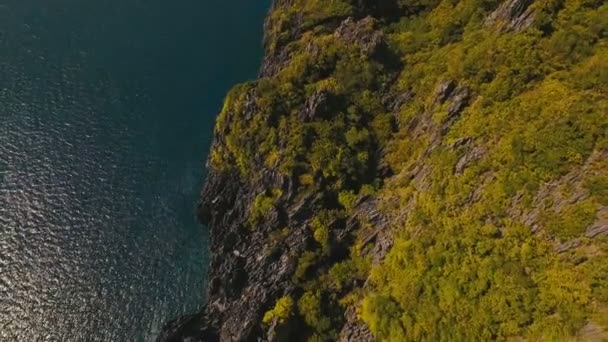 Deniz manzarası: Okyanus uçurumun bir orman. Havadan görünümü. — Stok video