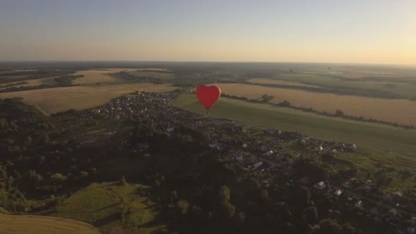 Luchtballon in de lucht over een tarweveld. Luchtfoto — Stockvideo