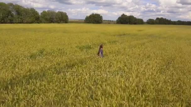 Junges Mädchen im Weizenfeld. Luftbild. — Stockvideo