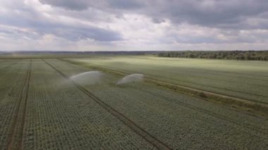 Havadan görünümü: makine bir patates alanda sulama