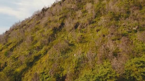 Bäume und Vegetation am Berghang. Kamiguin-Inselphilippinen. — Stockvideo