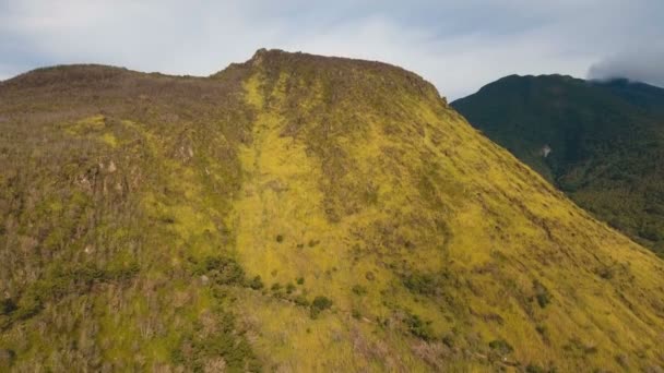 Stromy a vegetace na úbočí. Camiguin island Filipíny. — Stock video