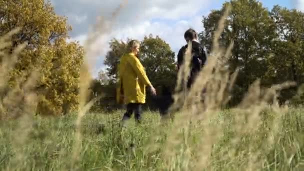 Giovane famiglia in passeggiata nel parco . — Video Stock