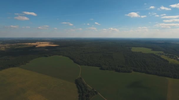 Aerial View.Landscape of the forest, field, sky. — Stock Video