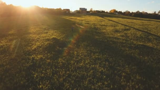 Menina em um campo com um gato.Vista aérea . — Vídeo de Stock
