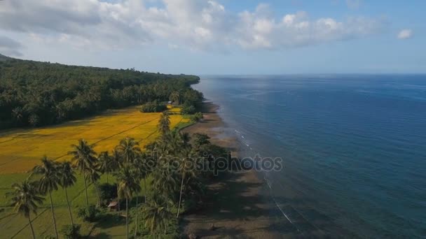 Vista aérea hermosa costa en la isla tropical con playa de arena volcánica. Isla de Camiguin Filipinas . — Vídeos de Stock