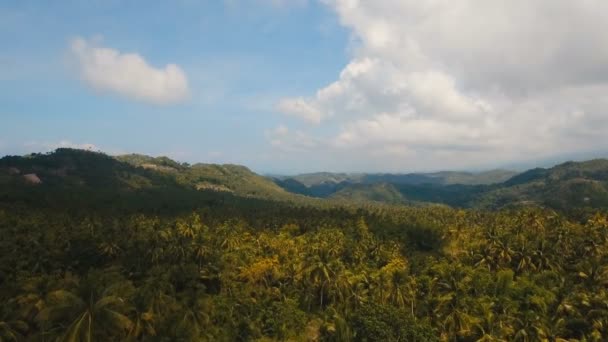 Góry z tropikalnym lasem. Wyspa Cebu na Filipinach. — Wideo stockowe