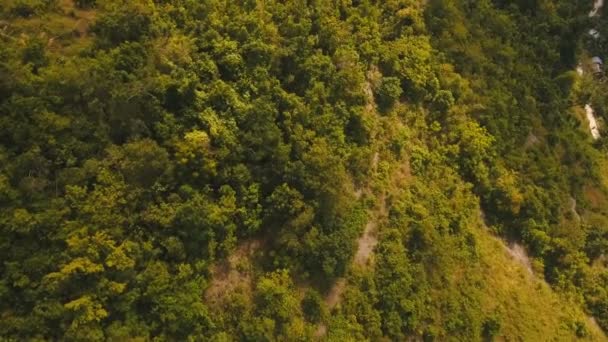 Montagnes avec forêt tropicale. Philippines Cebu île. — Video