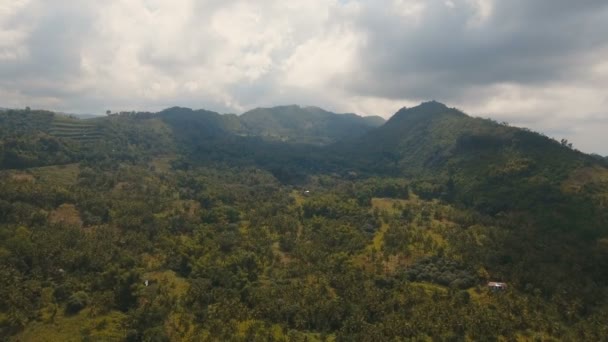 Tropikal ormanlı dağlar. Filipinler Cebu Adası. — Stok video