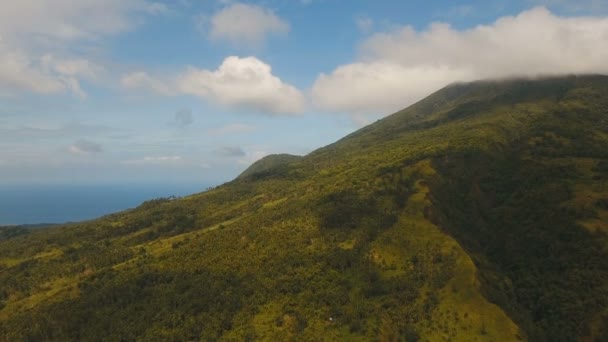 Tropisch bos in de bergen. Camiguin island, Filippijnen. — Stockvideo