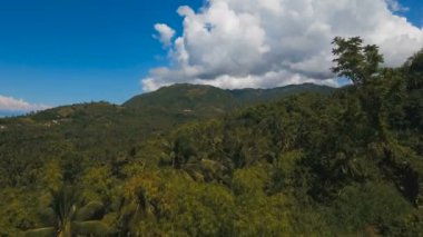 Tropikal ormanlı dağlar. Filipinler Cebu Adası.