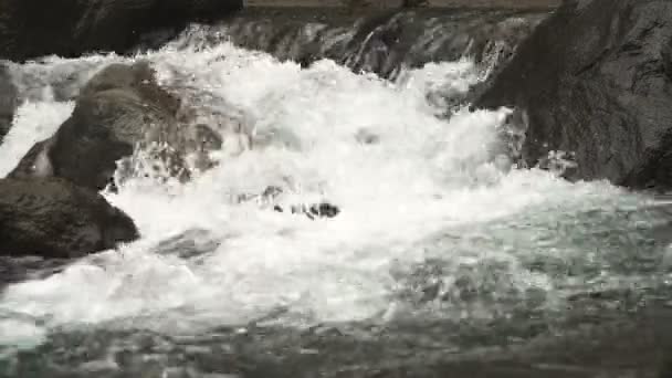 Arroyo de montaña río . — Vídeos de Stock