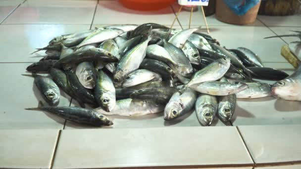 Fisk på den asiatiska marknaden. — Stockvideo