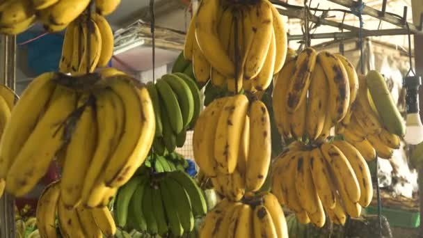 Bananas in the fruit market — Stock Video