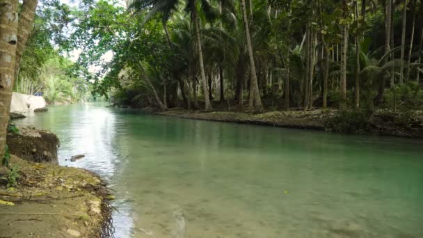 Fluss im Regenwald — Stockvideo