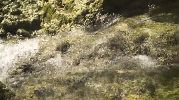 Rio de fluxo de montanha . — Vídeo de Stock