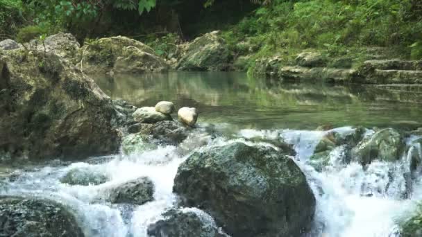 Río en la selva tropical — Vídeo de stock