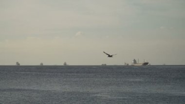 Kargo gemileri denizde demir attı. Filipinler, Manila.