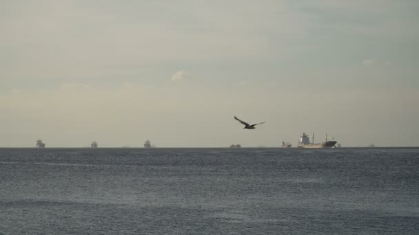 货船停泊在海中。菲律宾马尼拉. — 图库视频影像