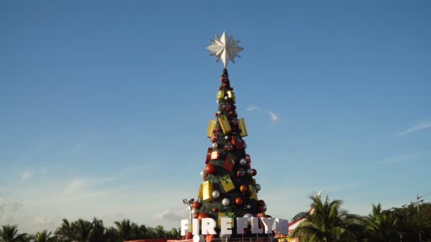 Schöner Weihnachtsbaum. — Stockvideo