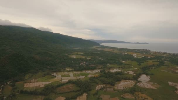 Vista aérea de um campo de arroz. Filipinas — Vídeo de Stock