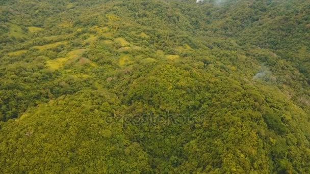 Letecký pohled na večerní deštný prales. Catanduanes ostrov Filipíny. — Stock video