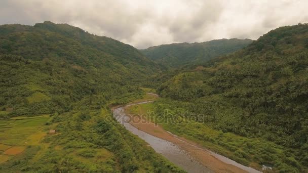 Fiume di montagna nella foresta pluviale. Isola di Camiguin Filippine . — Video Stock