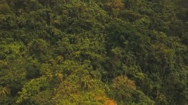 Montagnes avec forêt tropicale. Philippines Catanduanes île .