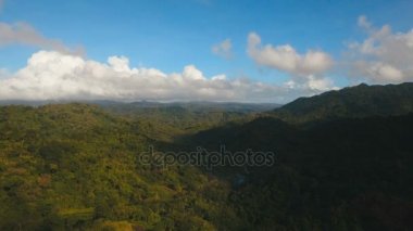 Tropikal orman ile Dağları. Filipinler Catanduanes Adası.