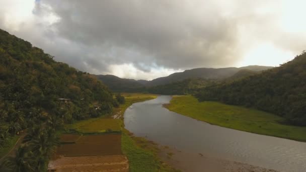 Гірська річка в тропічному лісі. Camiguin острів Філіппіни. — стокове відео