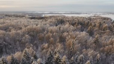 Ormanlı kış manzarası.