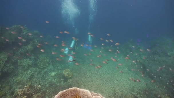 深海潜水对. — 图库视频影像