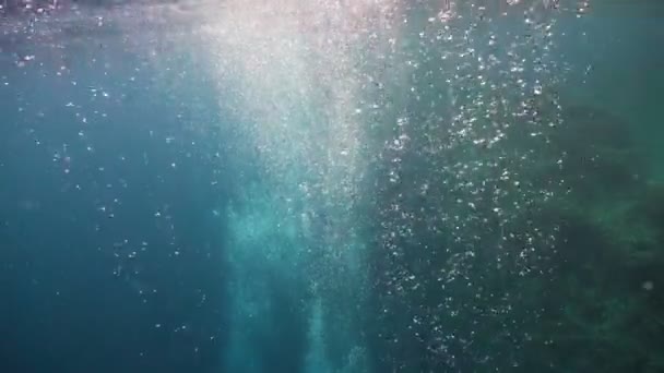 水の中の空気の泡 — ストック動画