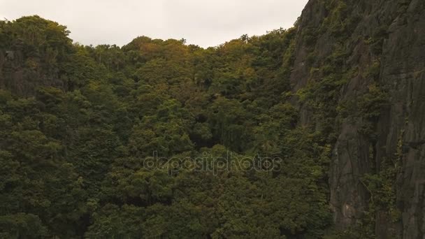 Forêt tropicale humide en montagne, vue aérienne .