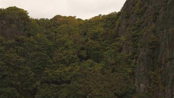 Dağlarda, havadan görünümü tropikal yağmur ormanları. — Stok video